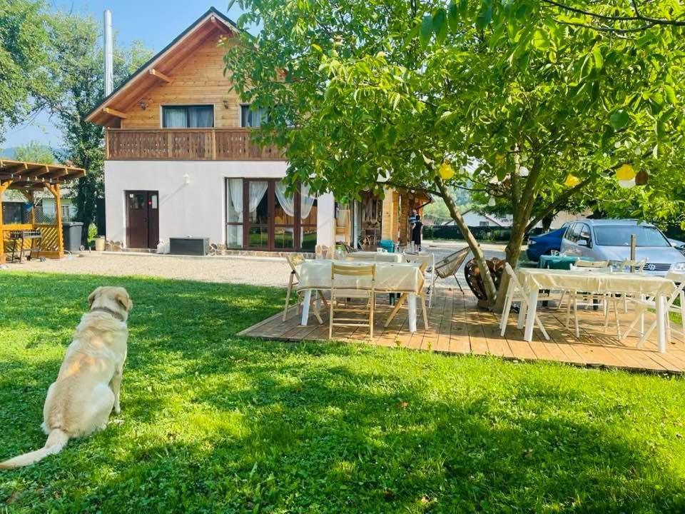 Gradina Lu' Ion "A Home Away From Home" (Adults Only) Felsővisó Kültér fotó