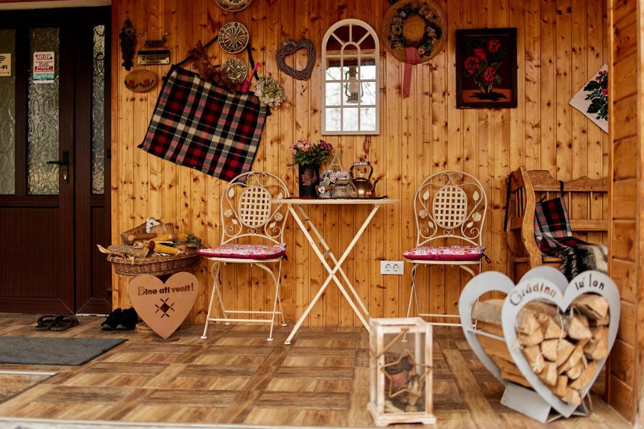 Gradina Lu' Ion "A Home Away From Home" (Adults Only) Felsővisó Kültér fotó
