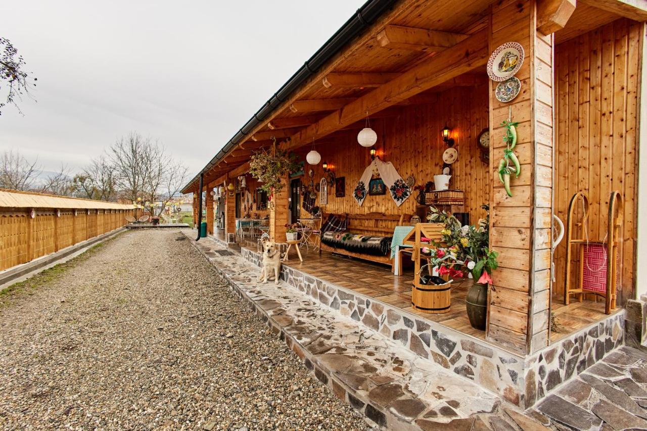 Gradina Lu' Ion "A Home Away From Home" (Adults Only) Felsővisó Kültér fotó